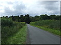 Rural road towards Wakerley