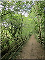 Path by the Aller Brook