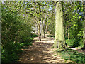 Path along edge of Morden Park