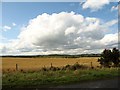 Farm land west of the Killard Road