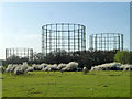 Gas holders, Motspur Park