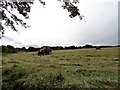 NZ1754 : Haymaking near Clough Dene by Robert Graham