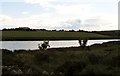 Strand Lough from near Killough Bridge