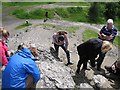 Looking for fossilised corals, Wren