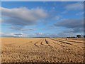 Stubble field, Glastullich