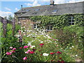 Summer flowers at Brook Farm