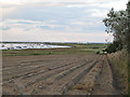 TM4455 : Looking over ploughed land to the River Alde, Sudbourne by Roger Jones