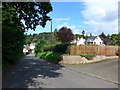 Shadows in Sauchie Road