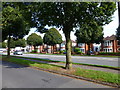 Houses on Western Avenue, Cardiff