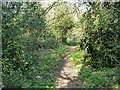 Footpath from Croydon Lane to Freedown Lane