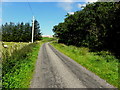 H1282 : Meenablagh Road, Tullycar by Kenneth  Allen