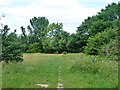 Public footpath, Mitcham Common