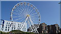 Wheel in Weston-super-Mare