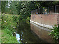 The River Wey, Farnham