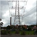 Pear Mill under the Pylon