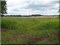 Field entrance, south of Bembury Lodge Plantation