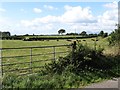 Farmland south of the Ballee Road