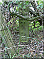 Boundary post on Outwoods Hills