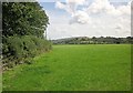 Field by Batworthy Mill Cross