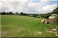 Sheep pasture near Meacombe