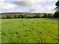 Feddan Townland