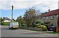 Up the pole on Coleridge Road