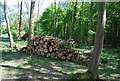 TQ1636 : Logs in Tickfold Wood by N Chadwick