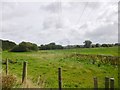 Wareham, power lines