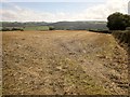 Field near Square Bookhams