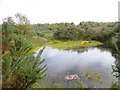 Stoborough Heath, pond