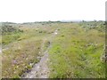 Stoborough Heath, Purbeck Way