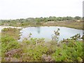 Stoborough Heath, lake