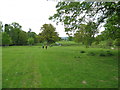 SO3671 : Party in the park - Brampton Bryan, Herefordshire by Martin Richard Phelan