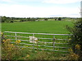 Pasture land between the Ballyhornan Road and a wetland lake