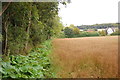 Footpath by Poorhouse Wood