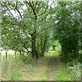 Footpath near Mancetter Quarry