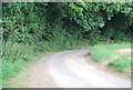 Bend in a narrow Suffolk Lane