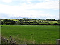 Farmland west of the Ballycruttle Road