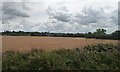 Farmland north-west of Bearley