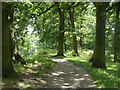 Path in Grangewood Park