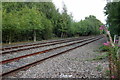 SK2916 : Railway line to Burton by Philip Jeffrey