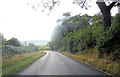 Bradenham Wood Lane south of Yewtree Hill Plantation