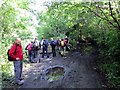 Cyffordd o lwybrau / Junction of paths