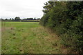 Hedge and pasture by Shelford Lane