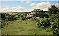 Rock above Widecombe