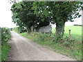 Ruined cottage on Ballysallagh Road