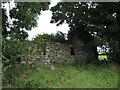 Ruined cottage on Ballysallagh Road