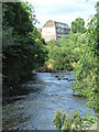 The River Kelvin