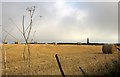 SX9050 : Bales near Coleton Farm by Derek Harper