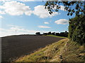 Farmland at Rossie